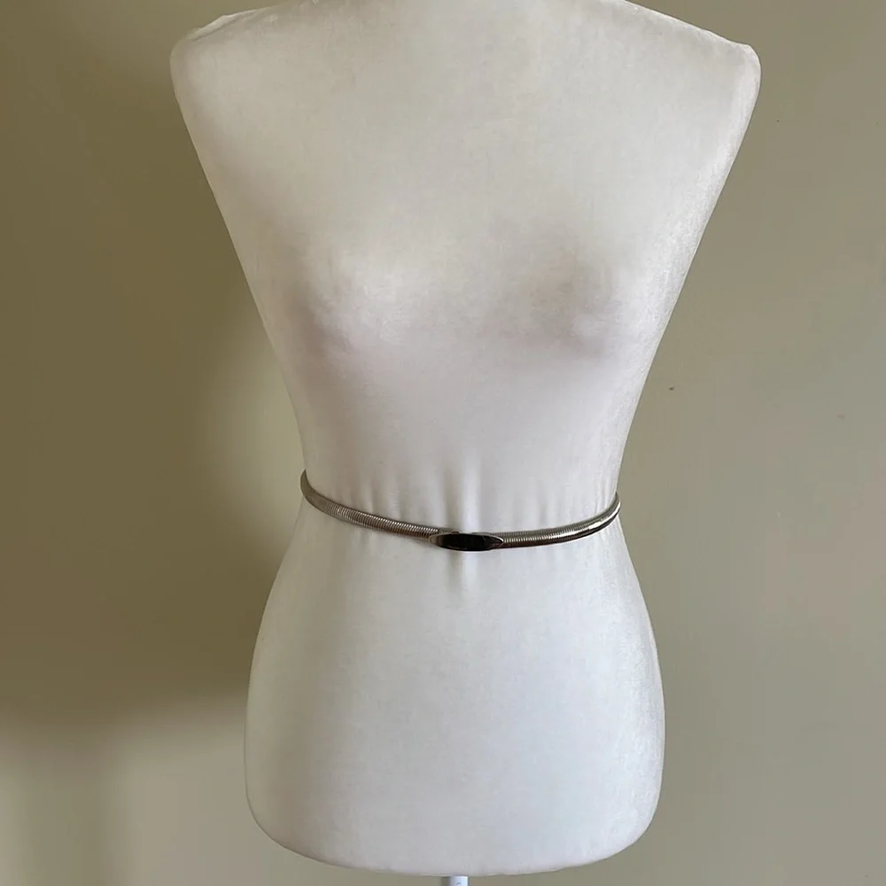 VINTAGE  SILVERTONE METALLIC SNAKE LINK STATEMENT SKINNY WAIST BELT